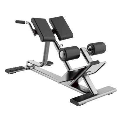 EVRB-L045｜BACK EXTENSION - Image 2