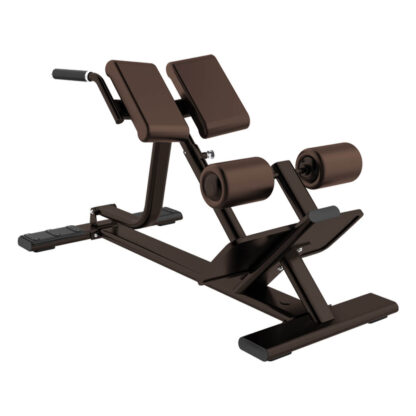 EVRB-L045｜BACK EXTENSION - Image 3