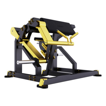 EVP-Z070｜BICEPS CURL - Image 2