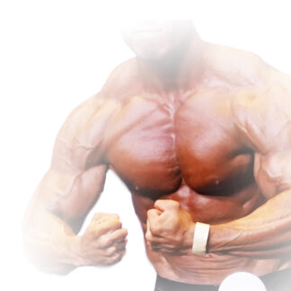CHEST