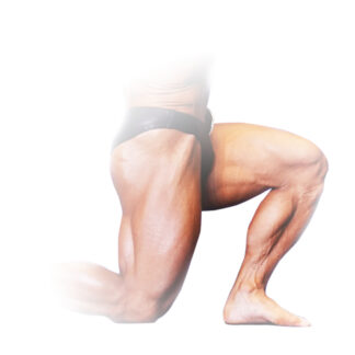 LEGS & BUTTOCKS